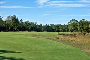Tree Farm 8th Fairway